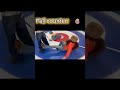 Kalogeras fall counter on curling  #kalogeras #funny