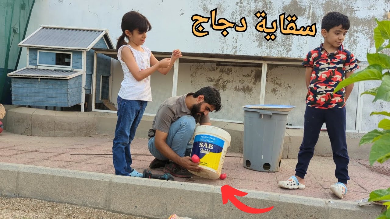 ركبنا سقاية الدجاج وترتيبات جديدة للحوش والعلف _ دار ابو خالد