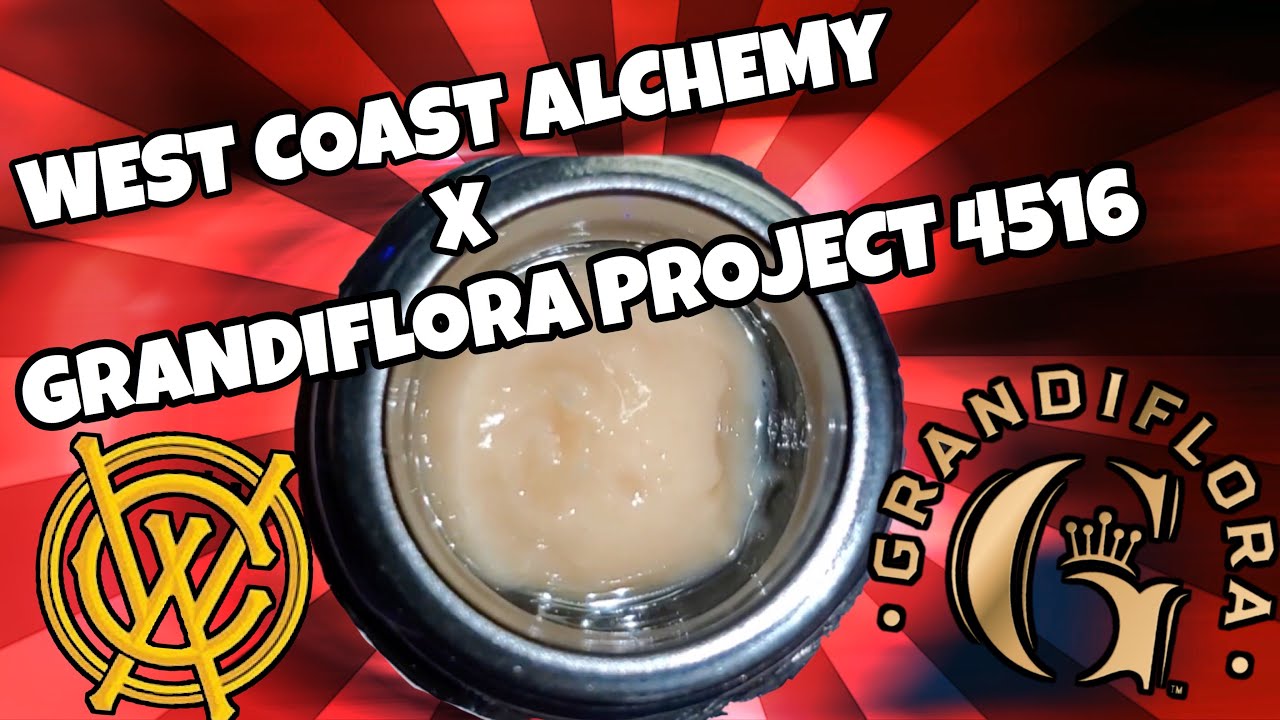 WEST COAST ALCHEMY X GRANDIFLORA PROJECT 4516 | FIRE REVIEW |