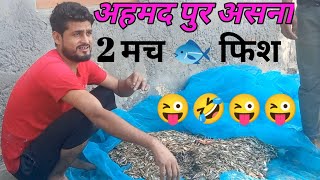 अहमद पर असन 2 मच फश Ahmad Pur Asna 2 Mach Fish