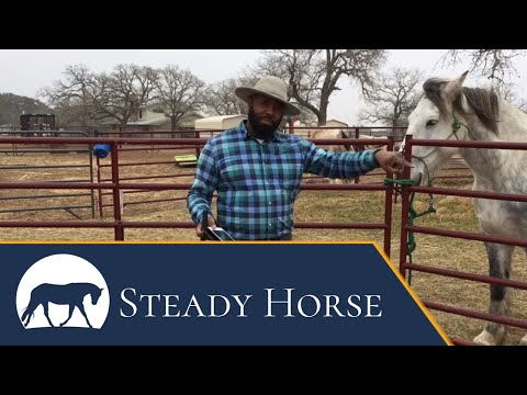 How to Fix a Bucking Horse