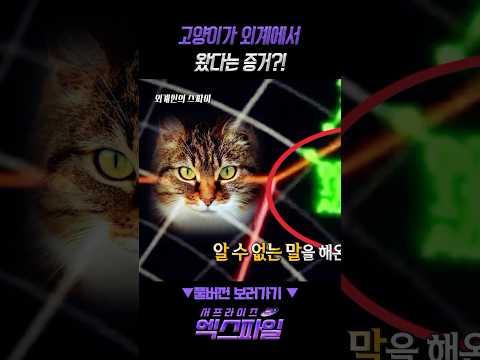 고양이가 <strong>외계에서</strong> 왔다는 증거?! #서프라이즈엑스파일