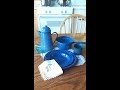 Blue Vintage Cottage Decor / Cabin Decor with Blue Enamelware #vintage #enamelware #farmhousedecor