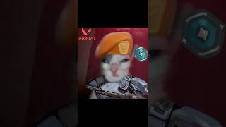 Brim Hiding In Smoke.4 Satisfying Kills.