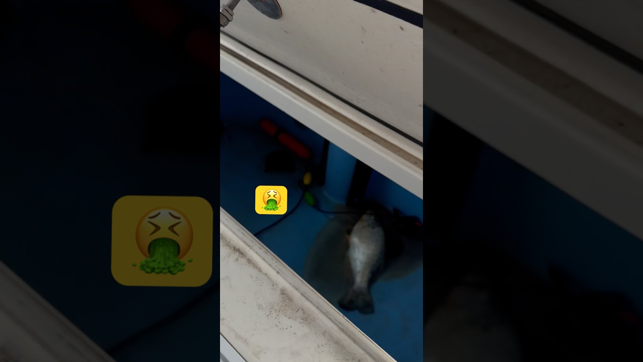 Yall ever done THIS!? - YouTube