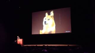 Doge Fractals
