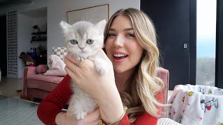 I GOT A KITTEN! *meet lumi*