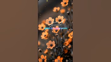 #سورة_الفلق #قرآن #تلاوة_خاشعة #حالات_واتس #اكسبلور #القرآن_الكريم