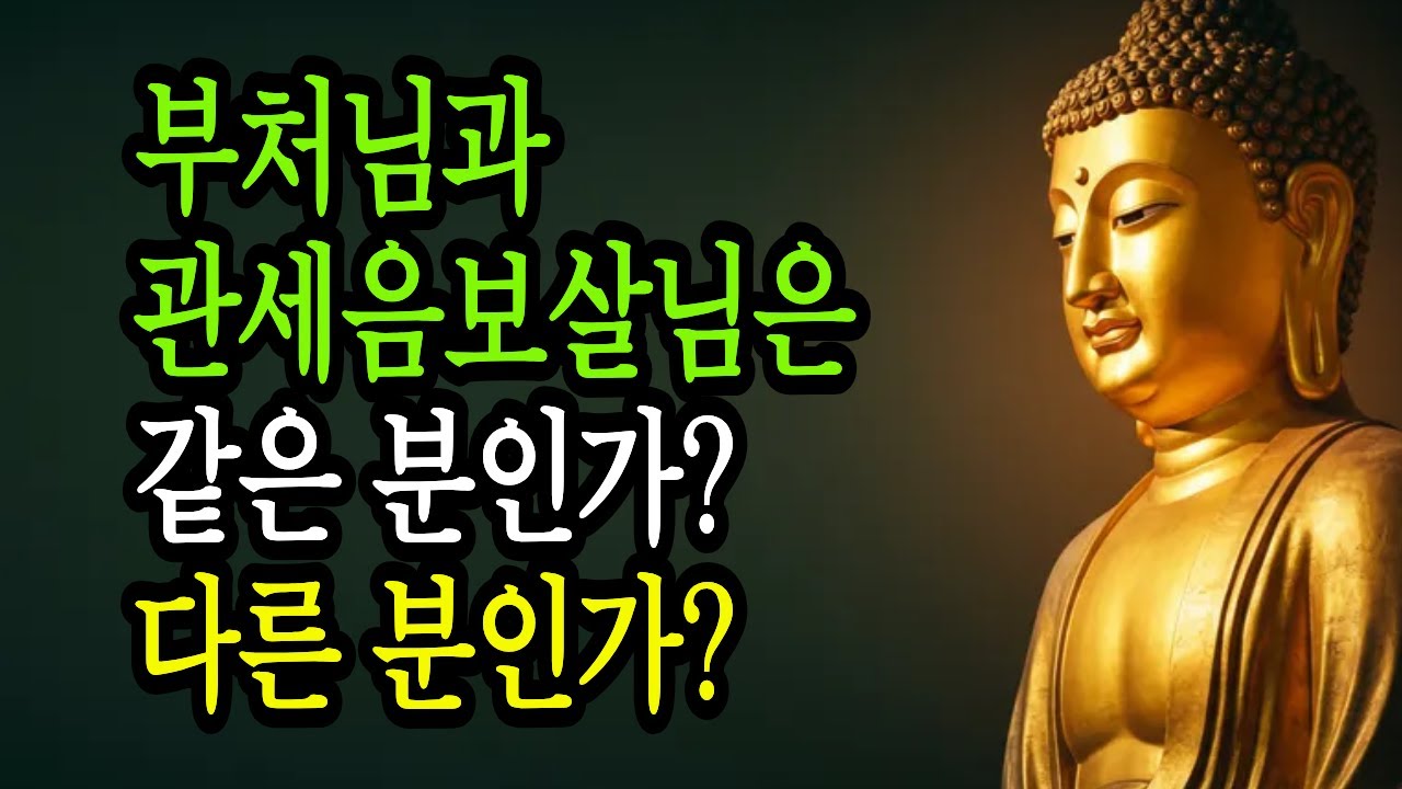 부처님과 관세음보살 차이점 완벽 정리 | 왜 이렇게 많은 부처님이 계실까? | 부처님 말씀 | 불교 법문 | 석가모니 가르침 |