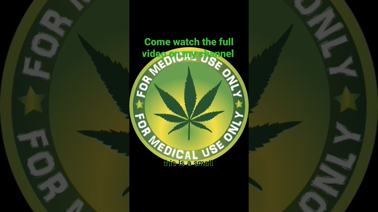 Small indoor closet grow