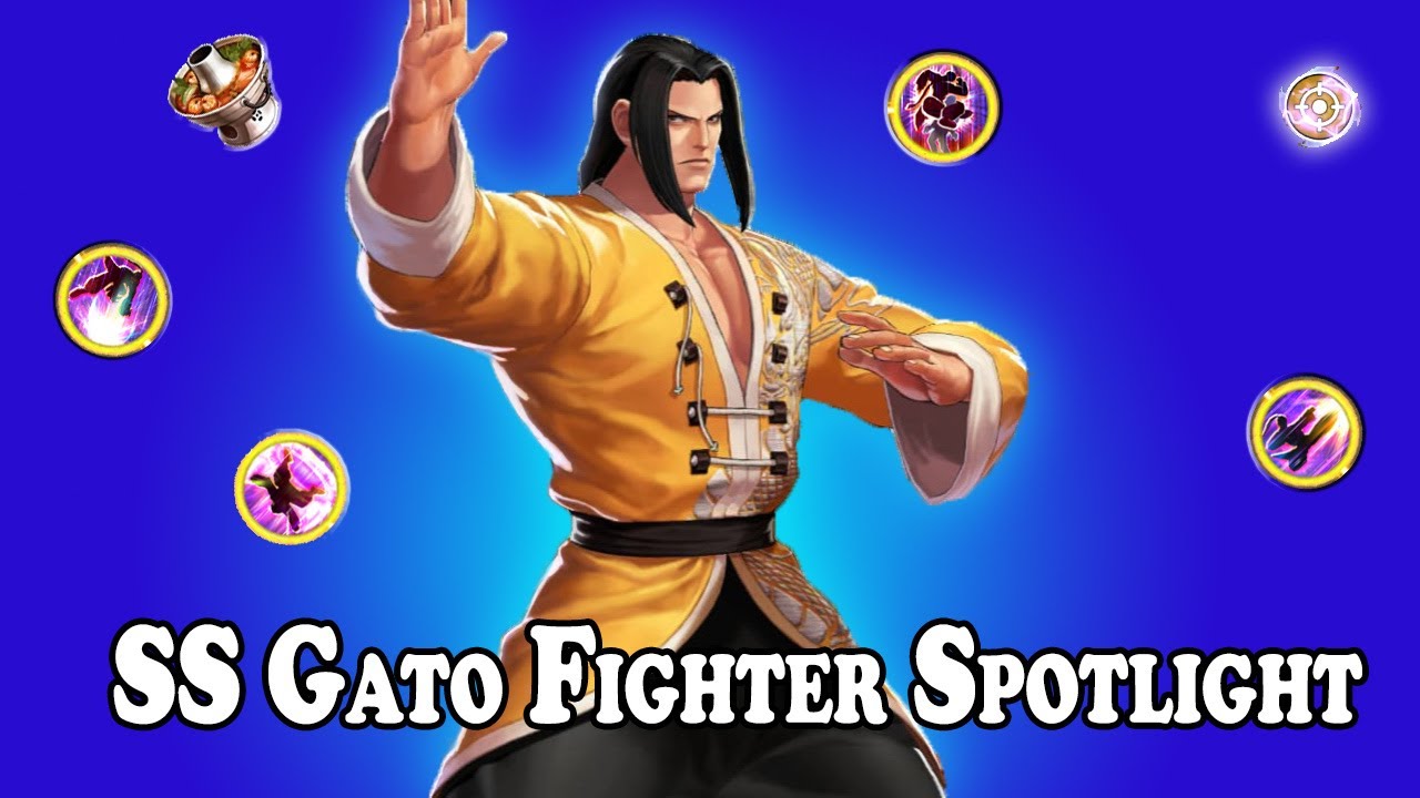 Kofas SS Gato Fighter Spotlight - is he GOOD or BAD?