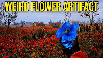 How To Get Weird Flower Legendary Artifact Poppy Field Guide - Stalker 2