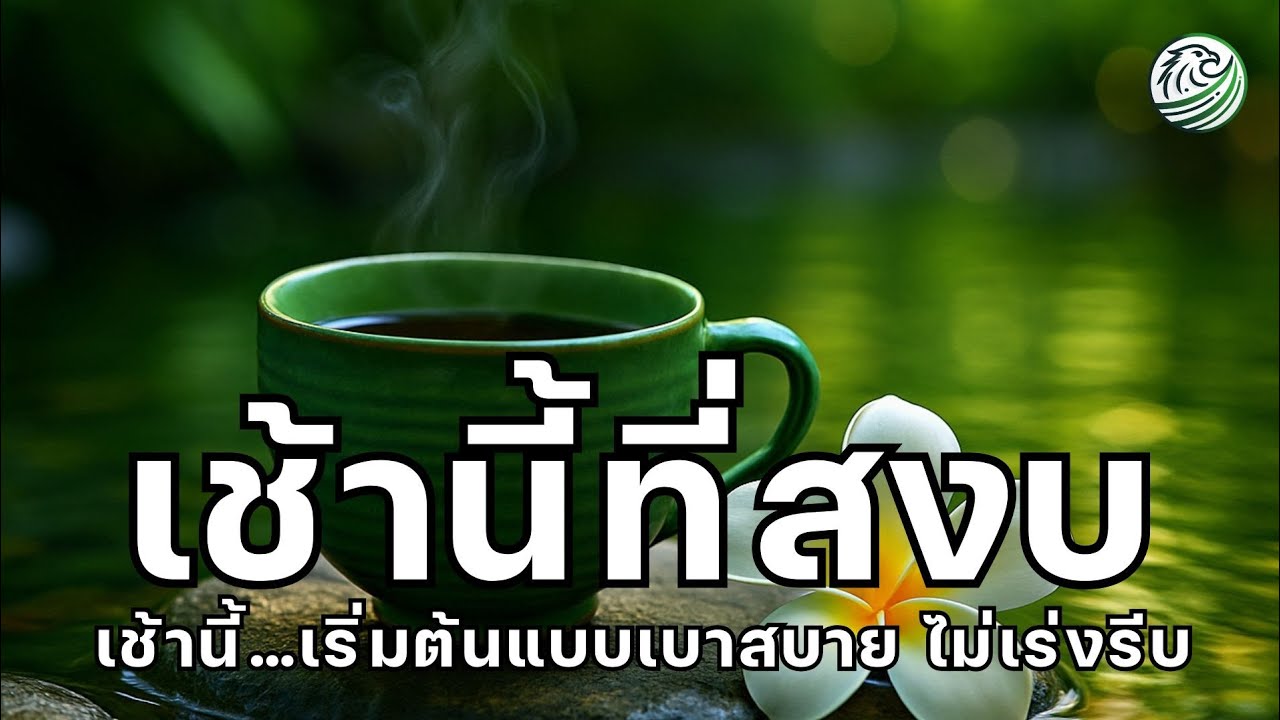 เช้านี้ที่สงบ เริ่มต้นยามเช้าอย่างเบาสบายเพลงนี้ช่วยปลุกหัวใจให้อ่อนโยน เพลงผ่อนคลายสมอง เพลงบำบัด