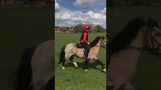Ad ref 278526 Video 1