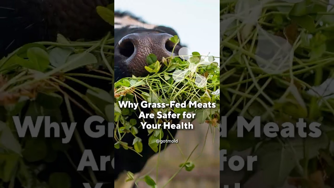 Why Grass-Fed Meats Are Safer for Your Health