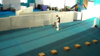 Carsten - ORT on birch ( Nosework )