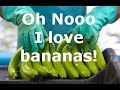 How To put in writing Health Articles