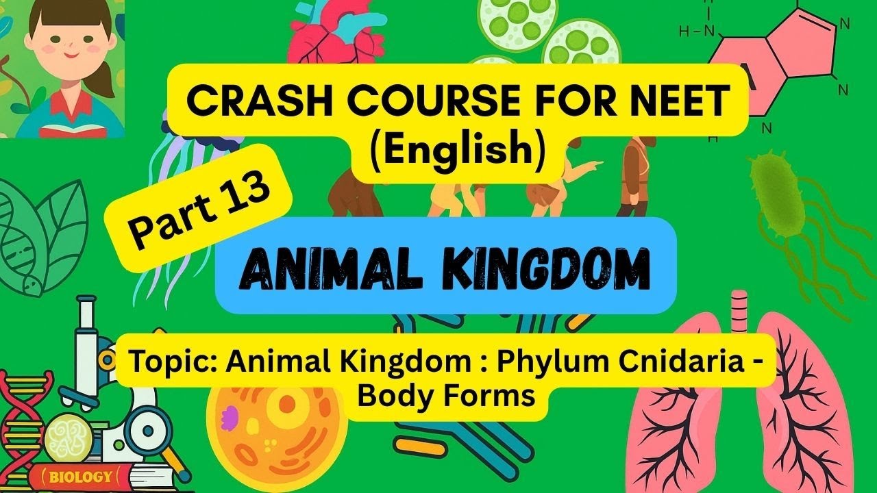 Phylum Cnidaria : Body Forms | Animal Kingdom | NEET | Camapiniyo ...