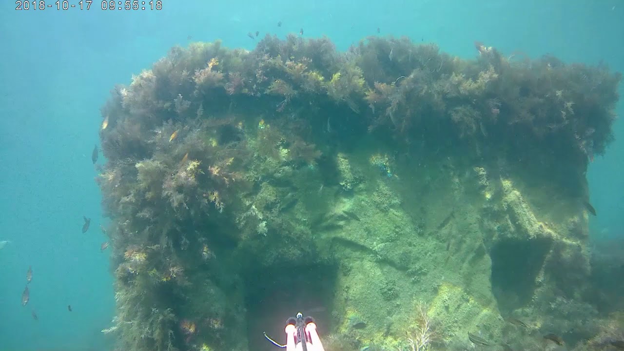 зубарик - YouTube