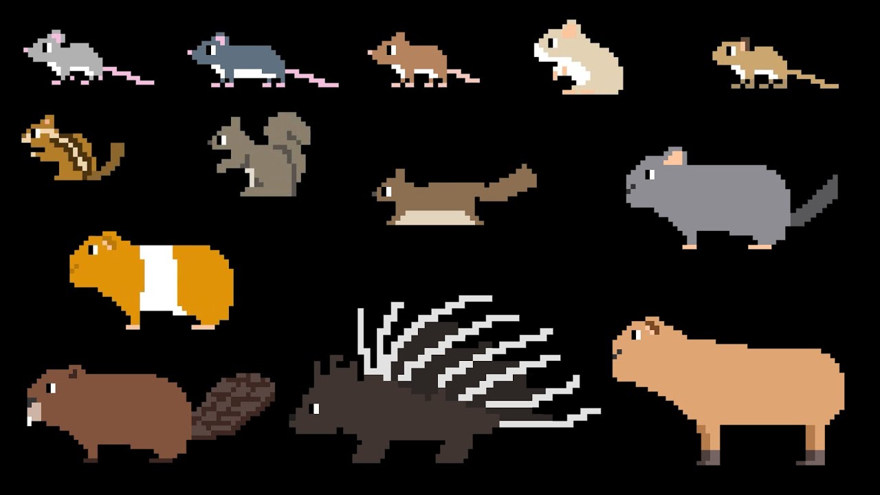 Грызуны - @TheKidsPictureShow