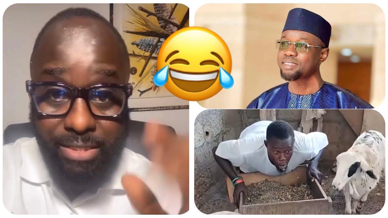 🫢 Thierno BocoumEt Ce Patriote Khoulo Bou Méti 🔥 Thierno Kharou Ousmane Sonko Mokay🤔