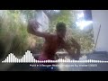Put It In It Bouyon Riddim (Produced By Walker) 2023