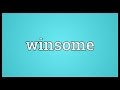 Winsome meaning