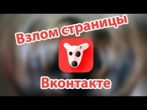 Как взломать страничку в вк лёгкий способ