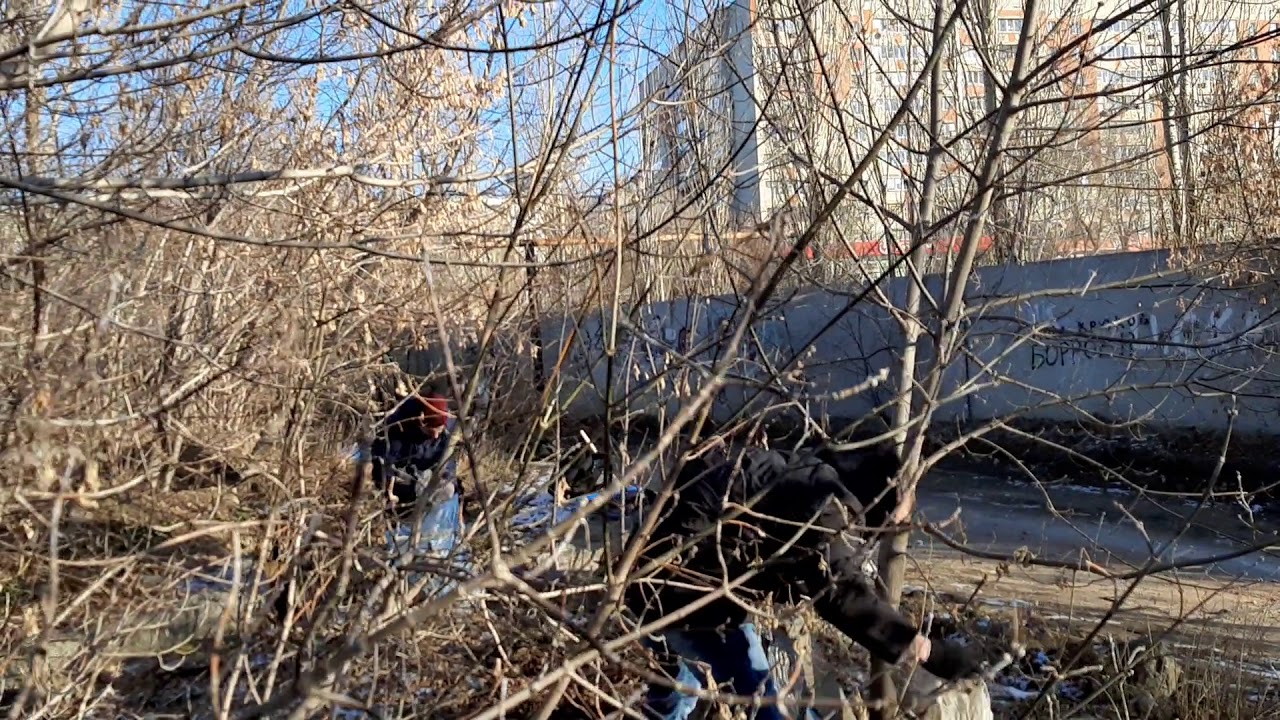 Свалка автомобилей саратов