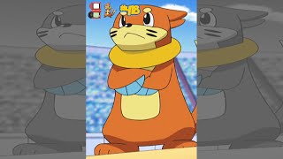 Basically Buizel [POKEDEX 418, Gen 4] Facts/Trivia #pokemon #youtube