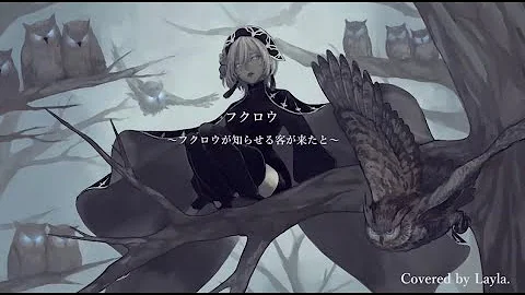 تحميل フクロウ フクロウが知らせる客が来たと تحميل フクロウ フクロウが知らせる客が来たと