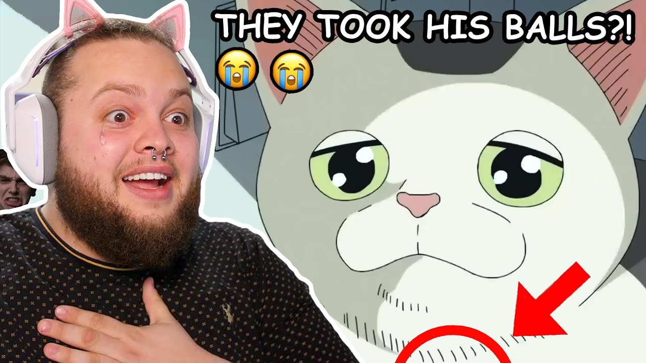 If I Laugh the Video Ends and I Steal Your Balls!