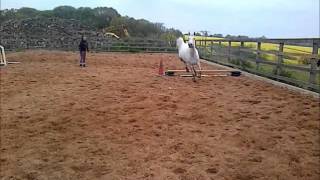 Information ruby1.wmv News