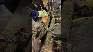 How Disposable Chopsticks Are Made! Factory Safety Tips You Need to Know!