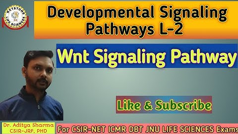 Developmental Signaling Pathways L-2#Wnt Signaling Pathway by Dr. Aditya Sharma CSIR-JRF PHD