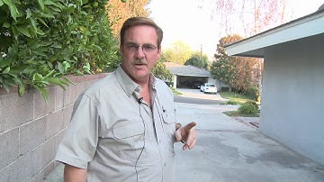 Home & Lawn Pest Control : How to Rid Your Home of Bats