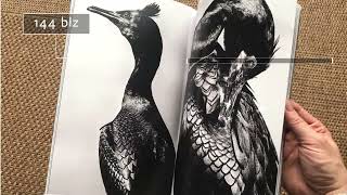 Fwiet Promo Kerst Liggend