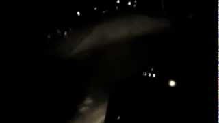 Lots of Deer Crossing the Street in a Good Neighborhood at Night