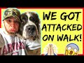 ME AND MY DOG GOT ATTACKED! What to do if an off leash dog comes at you!