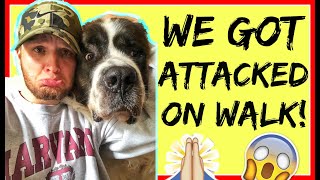 ME AND MY DOG GOT ATTACKED! What to do if an off leash dog comes at you!