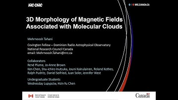3D Morphology of Magnetic Fields Associated with Molecular Clouds