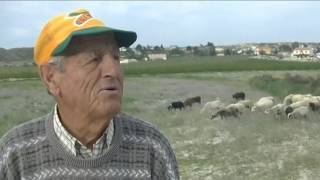 Rellano Molina AVI