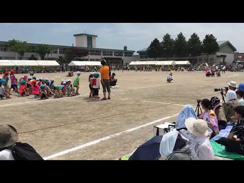 【運動会低学年リレー】ドウセイの兄