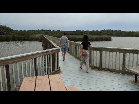 Video: Những Bãi biển Tốt nhất của Hạt San Luis Obispo