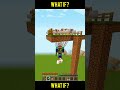 Minecraft Logic...... #shorts #classicgaming