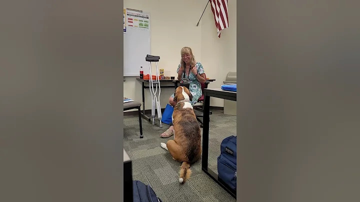 Vet Tech training