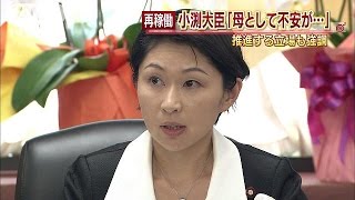 小渕大臣「母親として不安が・・・」原発再稼働で本音も(14/09/04)