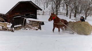 Жизнь в горах большой семьи. Вдали от цивилизации на краю света