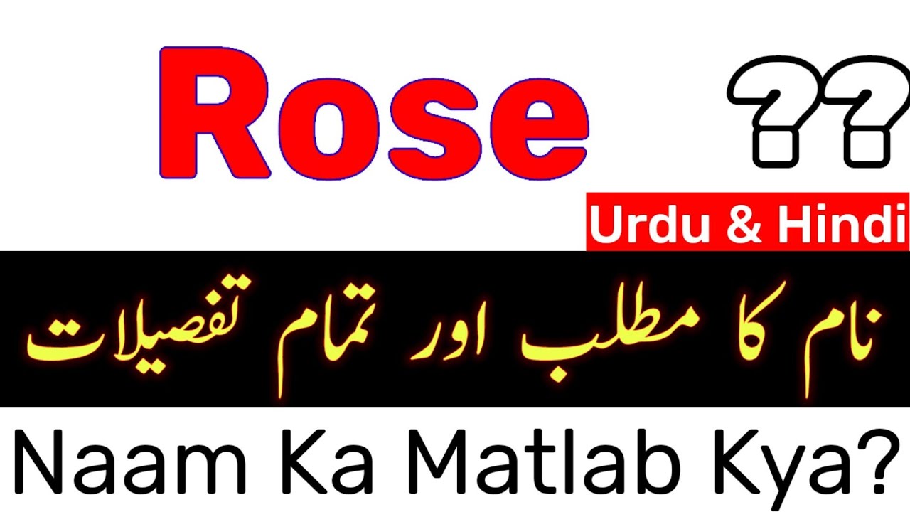 Rose Naam Ka Matlab / Rose Ka Matlab / Rose Name Meaning In Urdu / Rose Naam Ke Mayne / Girl Name
