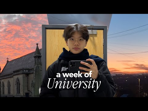 back to university (law school) | a week in my life | uni diaries (02) | college vlog